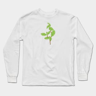 Mint Plant Botanical Long Sleeve T-Shirt